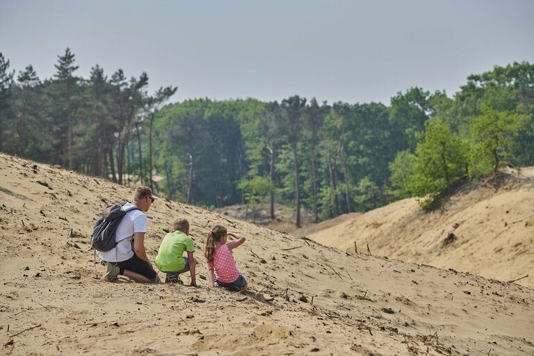 Vader met kinderen wandelt door het zand van In den Brand in Bosland